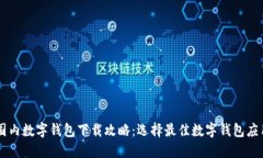 国内数字钱包下载攻略：