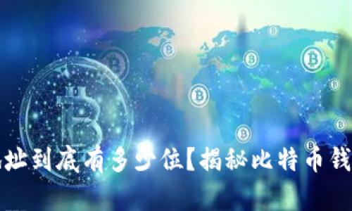 比特币钱包地址到底有多少位？揭秘比特币钱包地址的奥秘