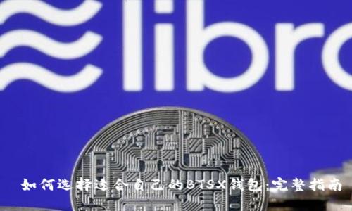  如何选择适合自己的BTSX钱包：完整指南