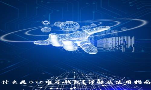 什么是BTC电子钱包？详解及使用指南