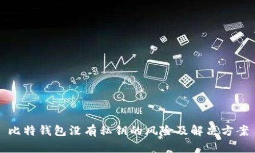 比特钱包没有私钥的风险及解决方案